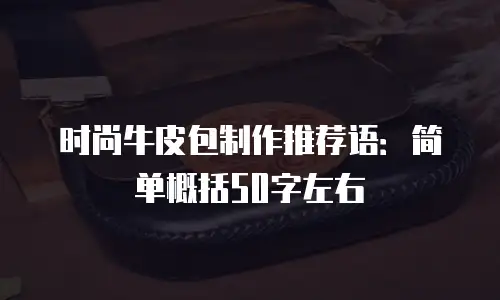时尚牛皮包制作推荐语：简单概括50字左右