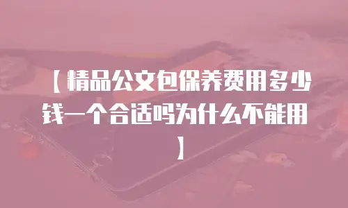 【精品公文包保养费用多少钱一个合适吗为什么不能用】