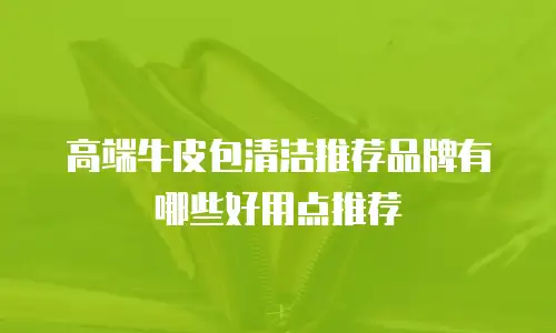 高端牛皮包清洁推荐品牌有哪些好用点推荐