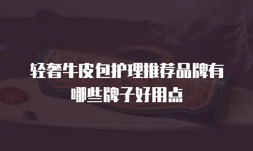轻奢牛皮包护理推荐品牌有哪些牌子好用点