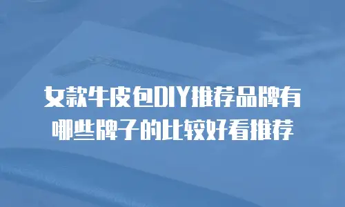 女款牛皮包DIY推荐品牌有哪些牌子的比较好看推荐