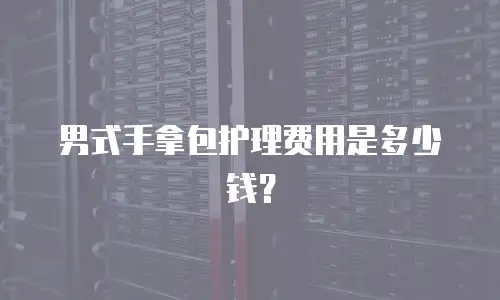 男式手拿包护理费用是多少钱？