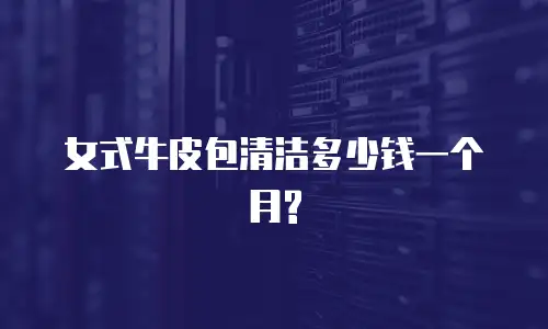 女式牛皮包清洁多少钱一个月?