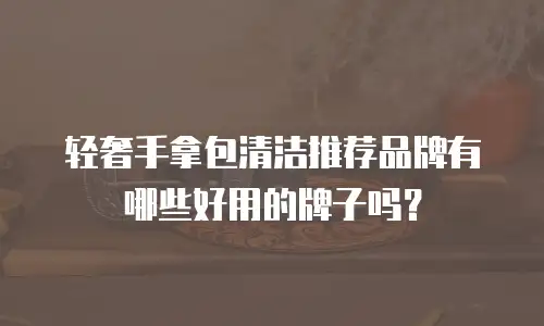 轻奢手拿包清洁推荐品牌有哪些好用的牌子吗？