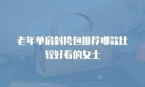 老年单肩斜挎包推荐哪款比较好看的女士