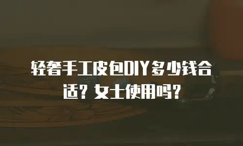 轻奢手工皮包DIY多少钱合适？女士使用吗？