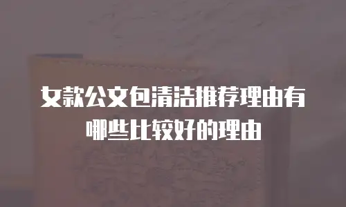 女款公文包清洁推荐理由有哪些比较好的理由