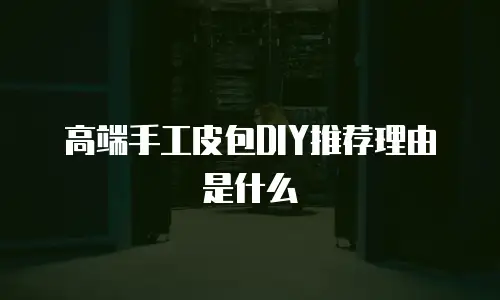 高端手工皮包DIY推荐理由是什么