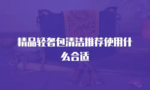 精品轻奢包清洁推荐使用什么合适