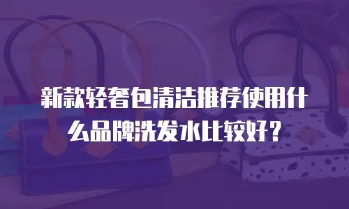 新款轻奢包清洁推荐使用什么品牌洗发水比较好？
