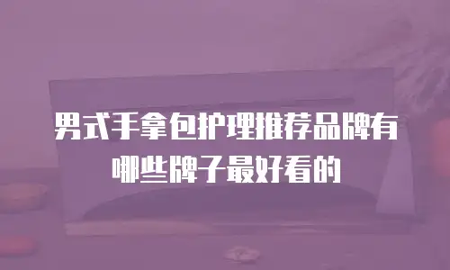 男式手拿包护理推荐品牌有哪些牌子最好看的