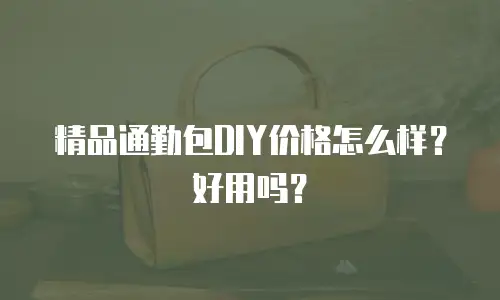 精品通勤包DIY价格怎么样？好用吗？