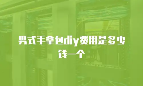 男式手拿包diy费用是多少钱一个