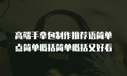 高端手拿包制作推荐语简单点简单概括简单概括又好看
