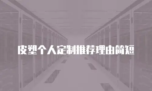皮塑个人定制推荐理由简短