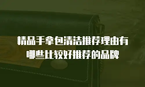 精品手拿包清洁推荐理由有哪些比较好推荐的品牌