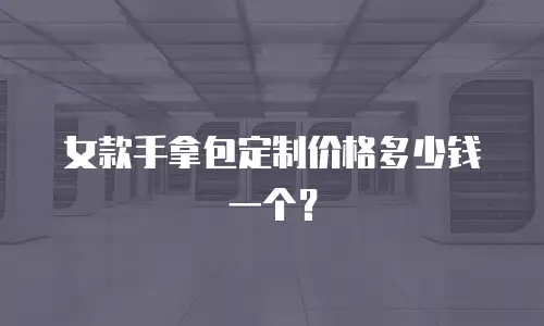女款手拿包定制价格多少钱一个？