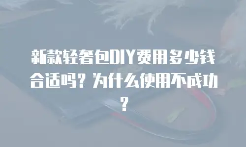 新款轻奢包DIY费用多少钱合适吗？为什么使用不成功？