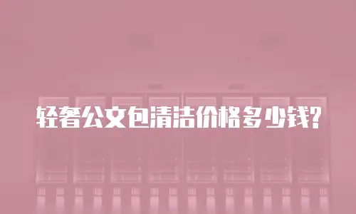 轻奢公文包清洁价格多少钱?
