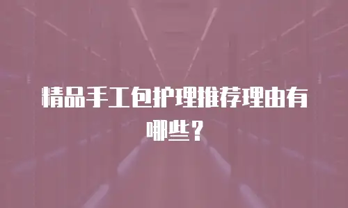 精品手工包护理推荐理由有哪些？