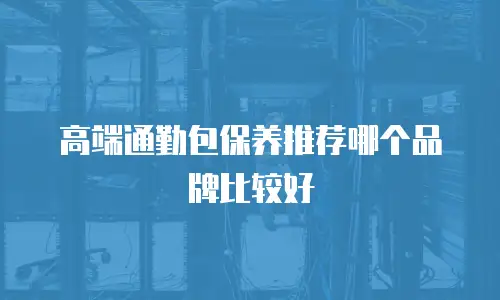 高端通勤包保养推荐哪个品牌比较好
