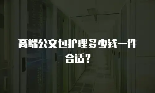 高端公文包护理多少钱一件合适？