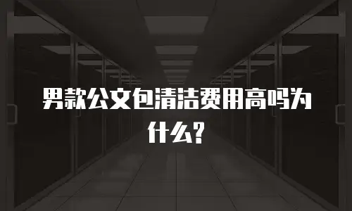 男款公文包清洁费用高吗为什么?