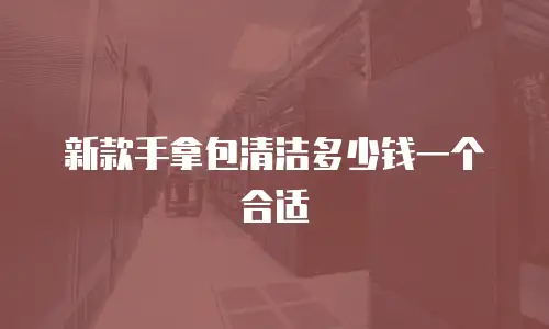 新款手拿包清洁多少钱一个合适