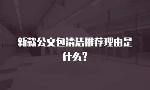 新款公文包清洁推荐理由是什么？