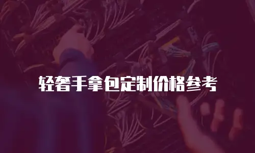 轻奢手拿包定制价格参考