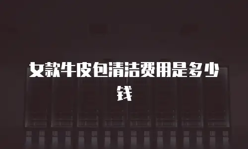 女款牛皮包清洁费用是多少钱