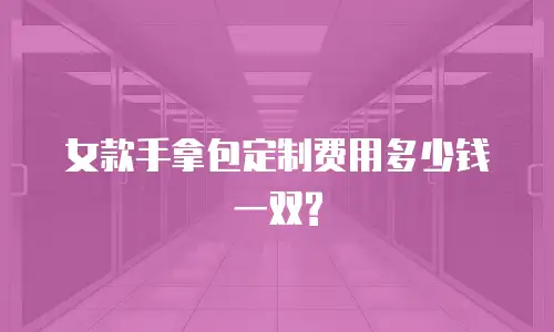 女款手拿包定制费用多少钱一双?