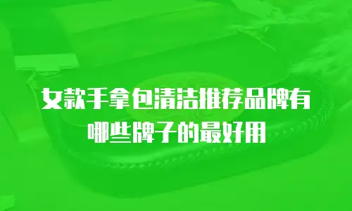 女款手拿包清洁推荐品牌有哪些牌子的最好用