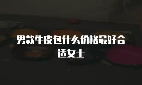 男款牛皮包什么价格最好合适女士