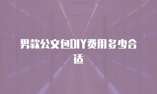 男款公文包DIY费用多少合适