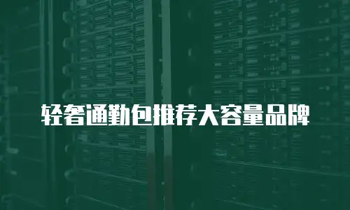 轻奢通勤包推荐大容量品牌