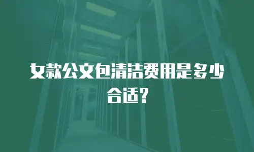 女款公文包清洁费用是多少合适？