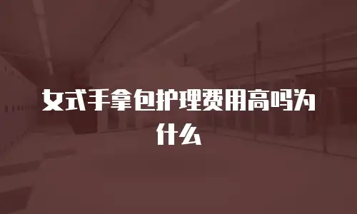 女式手拿包护理费用高吗为什么