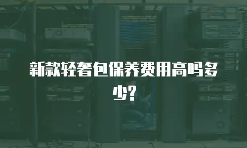 新款轻奢包保养费用高吗多少?
