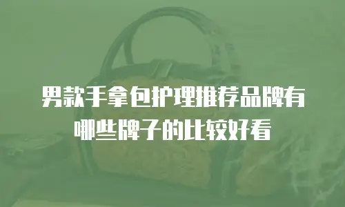 男款手拿包护理推荐品牌有哪些牌子的比较好看