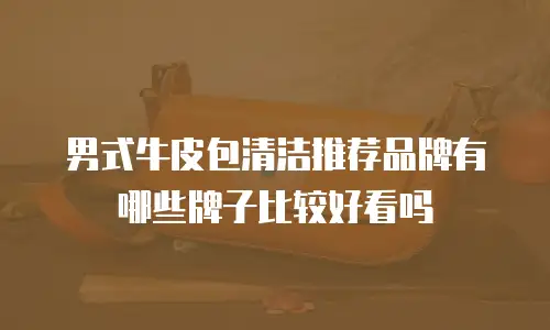 男式牛皮包清洁推荐品牌有哪些牌子比较好看吗