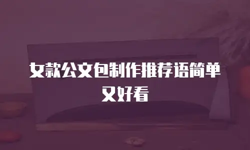 女款公文包制作推荐语简单又好看