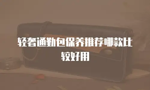 轻奢通勤包保养推荐哪款比较好用