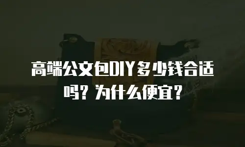 高端公文包DIY多少钱合适吗？为什么便宜？