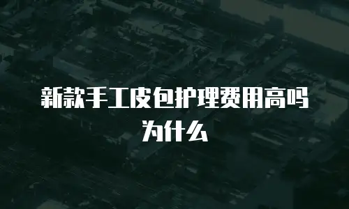 新款手工皮包护理费用高吗为什么