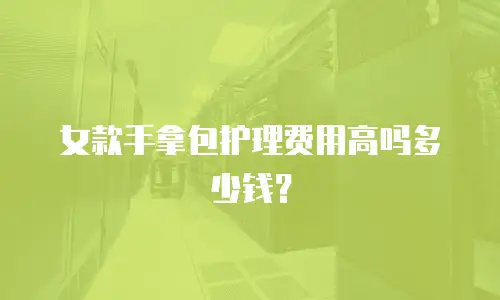 女款手拿包护理费用高吗多少钱？