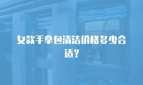 女款手拿包清洁价格多少合适？