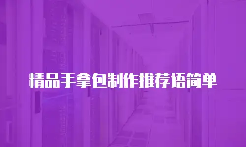精品手拿包制作推荐语简单
