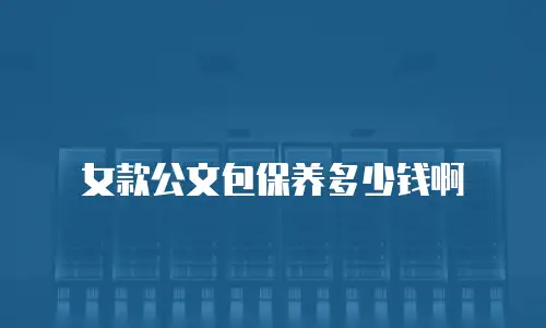 女款公文包保养多少钱啊
