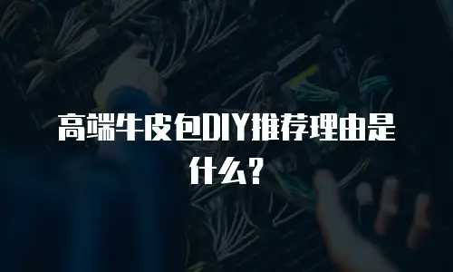 高端牛皮包DIY推荐理由是什么？